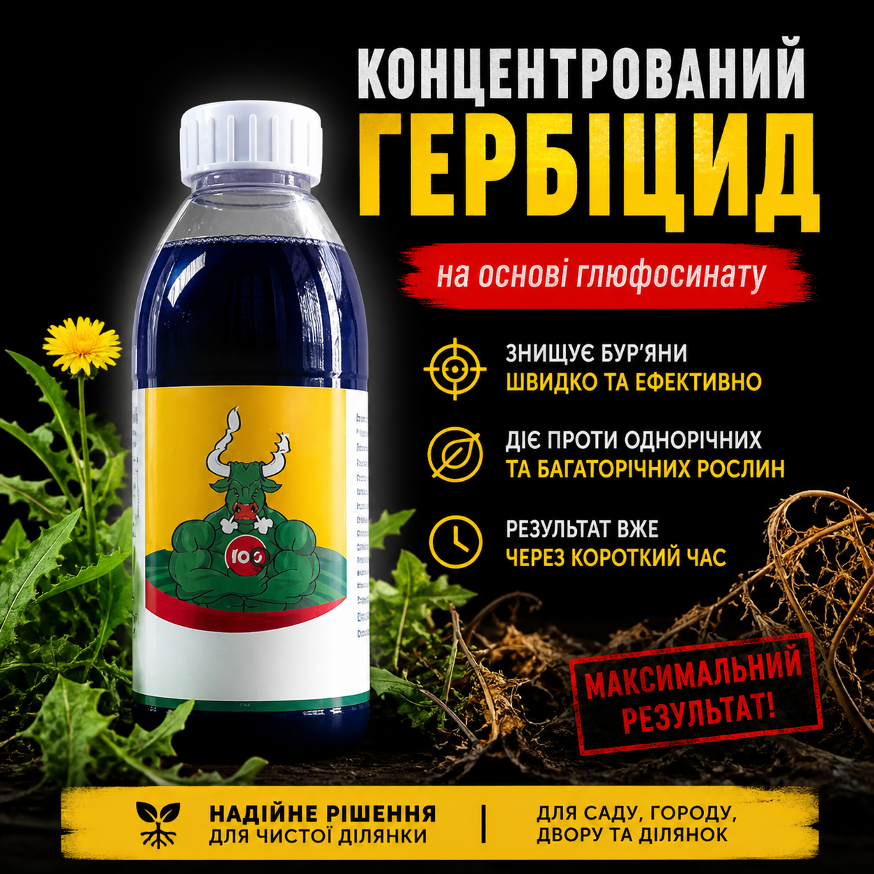 Секрет ідеальної шиї вже у тебе